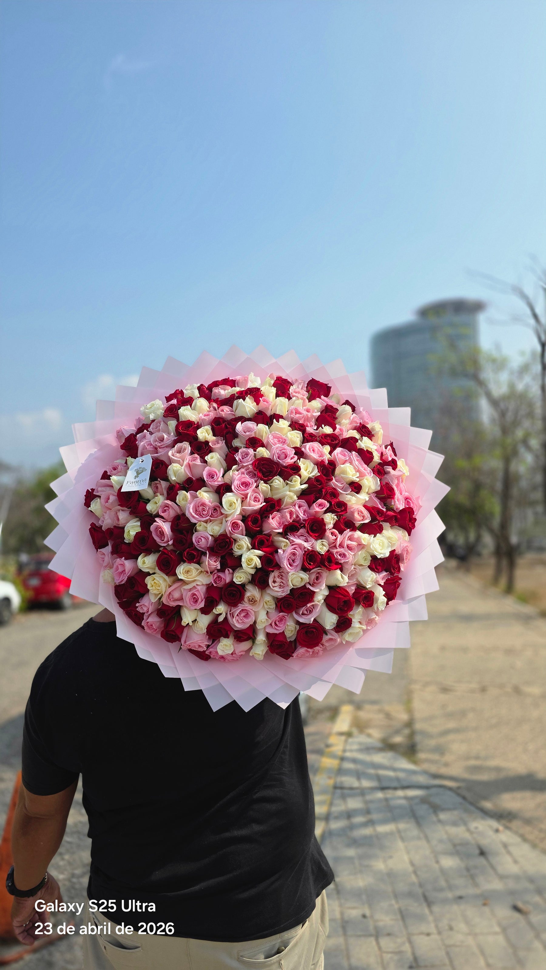 Ramo de 300 rosas
