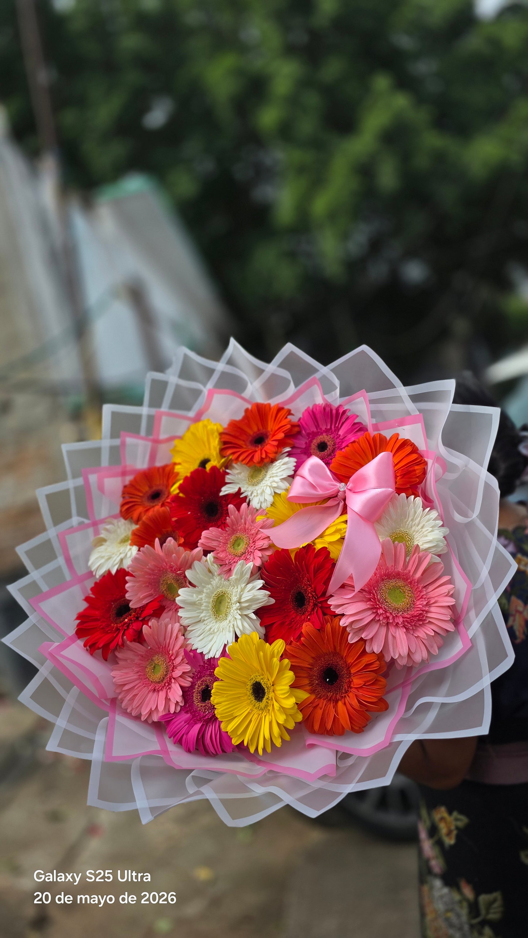 Ramo de 30 gerberas