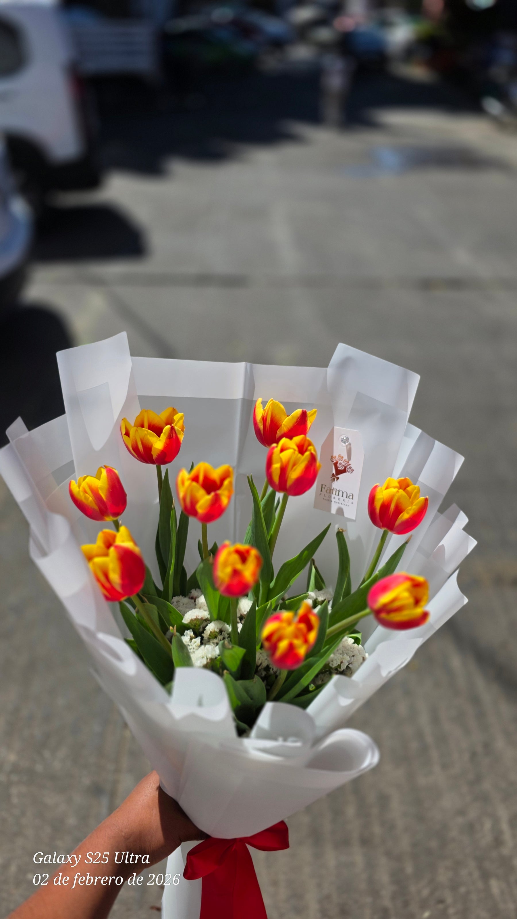 Ramo de 10 tulipanes